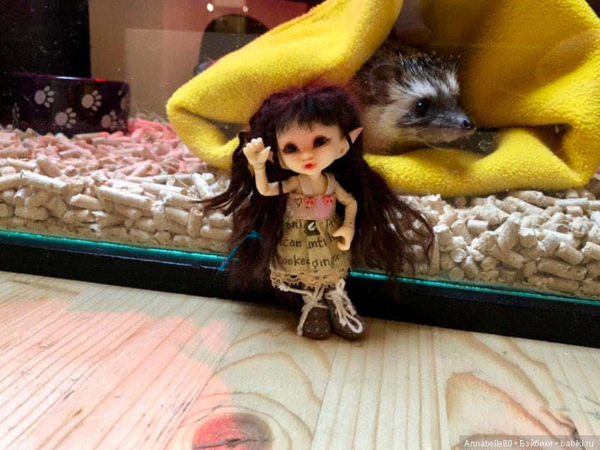 Жили-были ежики или первый подвиг принцессы Каэлианны | Бэйбики Жили-были ежики или первый подвиг принцессы Каэлианны (фото 2)