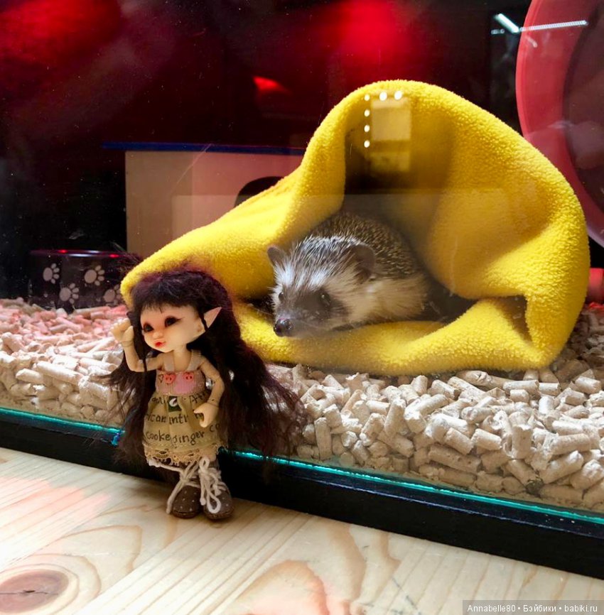 Жили-были ежики или первый подвиг принцессы Каэлианны | Бэйбики Жили-были ежики или первый подвиг принцессы Каэлианны (фото 3)