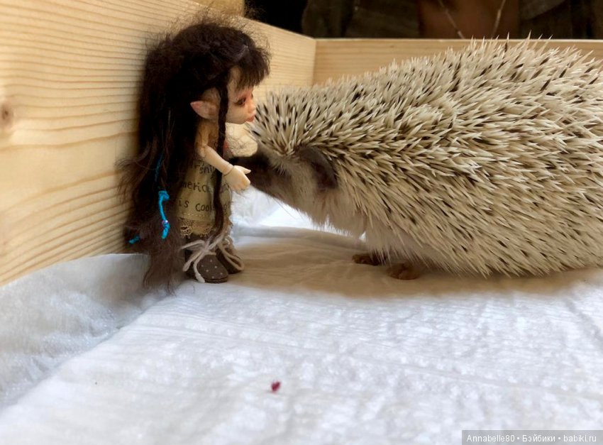 Жили-были ежики или первый подвиг принцессы Каэлианны | Бэйбики Жили-были ежики или первый подвиг принцессы Каэлианны