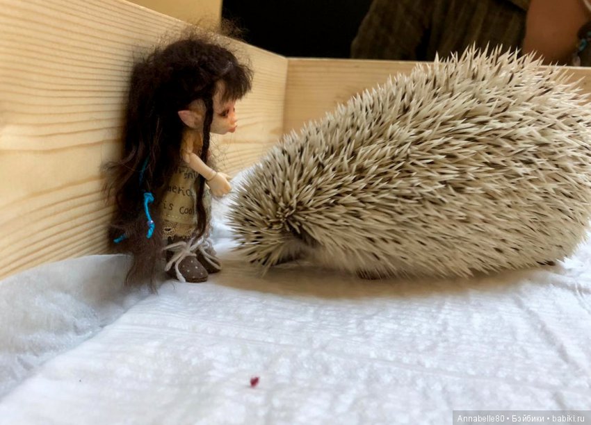 Жили-были ежики или первый подвиг принцессы Каэлианны | Бэйбики Жили-были ежики или первый подвиг принцессы Каэлианны