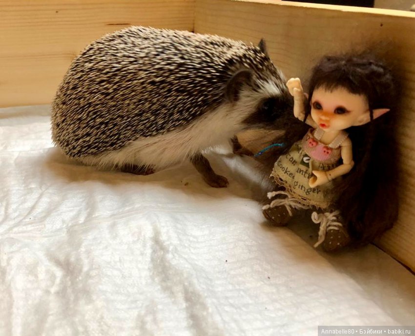 Жили-были ежики или первый подвиг принцессы Каэлианны | Бэйбики Жили-были ежики или первый подвиг принцессы Каэлианны (фото 4)