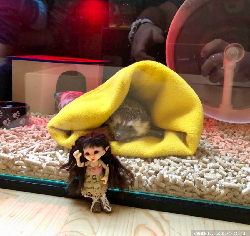 Жили-были ежики или первый подвиг принцессы Каэлианны | Бэйбики Жили-были ежики или первый подвиг принцессы Каэлианны