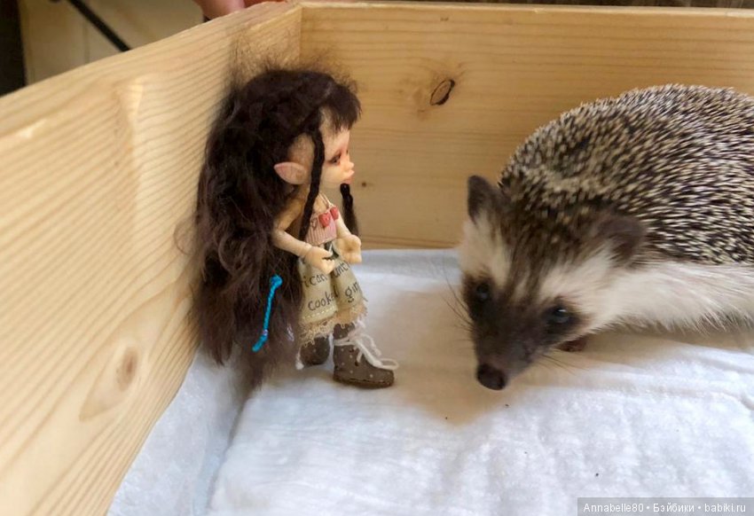 Жили-были ежики или первый подвиг принцессы Каэлианны | Бэйбики Жили-были ежики или первый подвиг принцессы Каэлианны (фото 8)