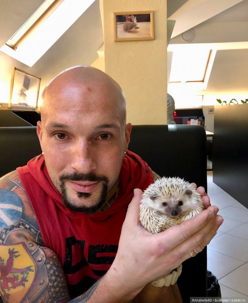 Жили-были ежики или первый подвиг принцессы Каэлианны | Бэйбики Жили-были ежики или первый подвиг принцессы Каэлианны