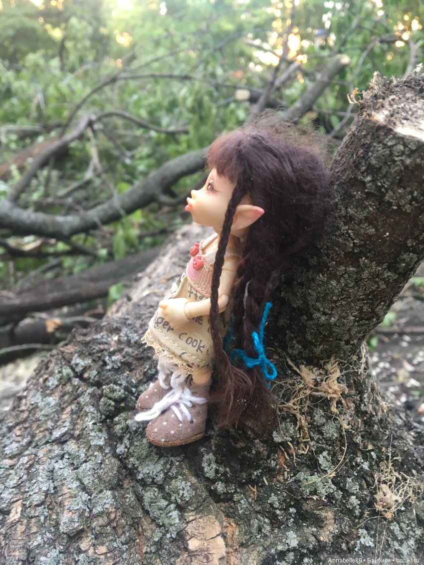 Эльфы в естественной среде обитания