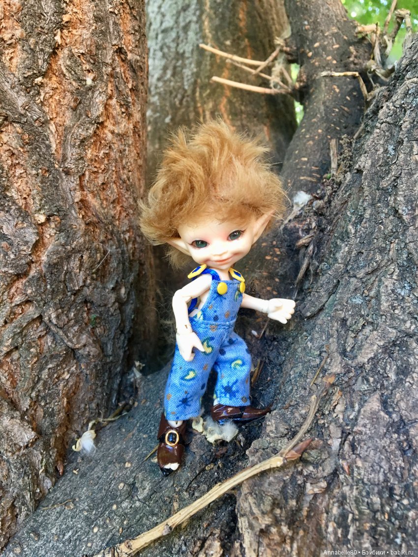 Эльфы в естественной среде обитания