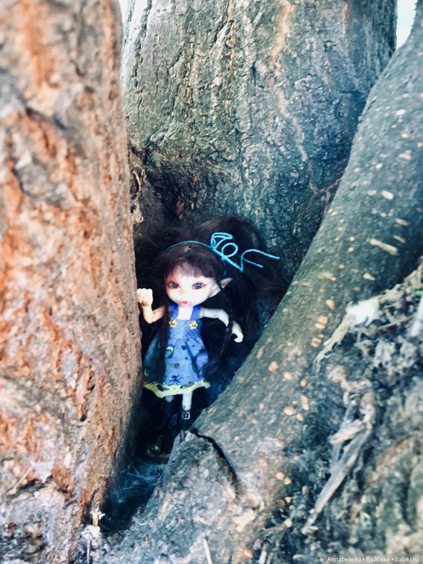 Эльфы в естественной среде обитания