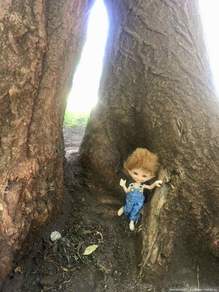 Эльфы в естественной среде обитания