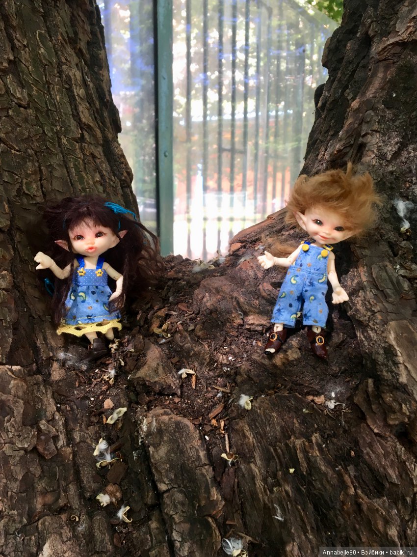 Эльфы в естественной среде обитания