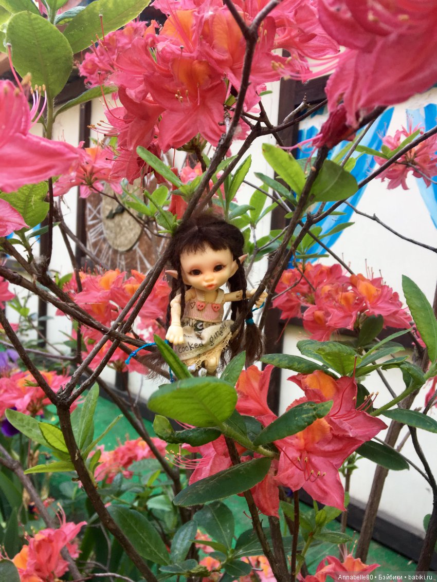 Эльфы в естественной среде обитания (фото 7)