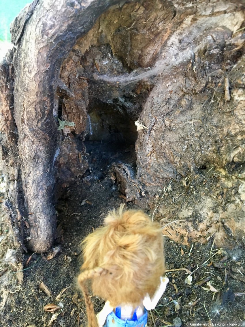 Эльфы в естественной среде обитания