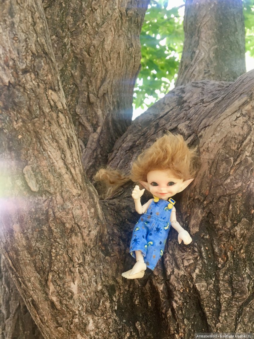 Эльфы в естественной среде обитания