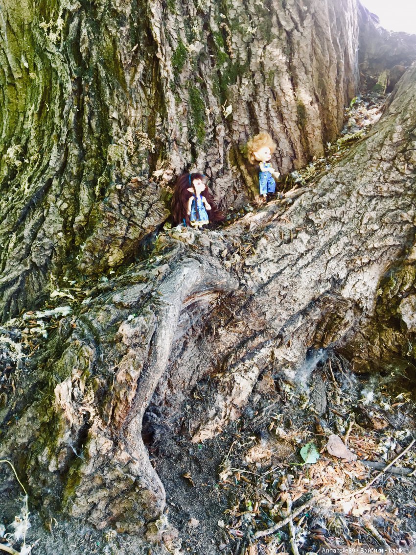 Эльфы в естественной среде обитания