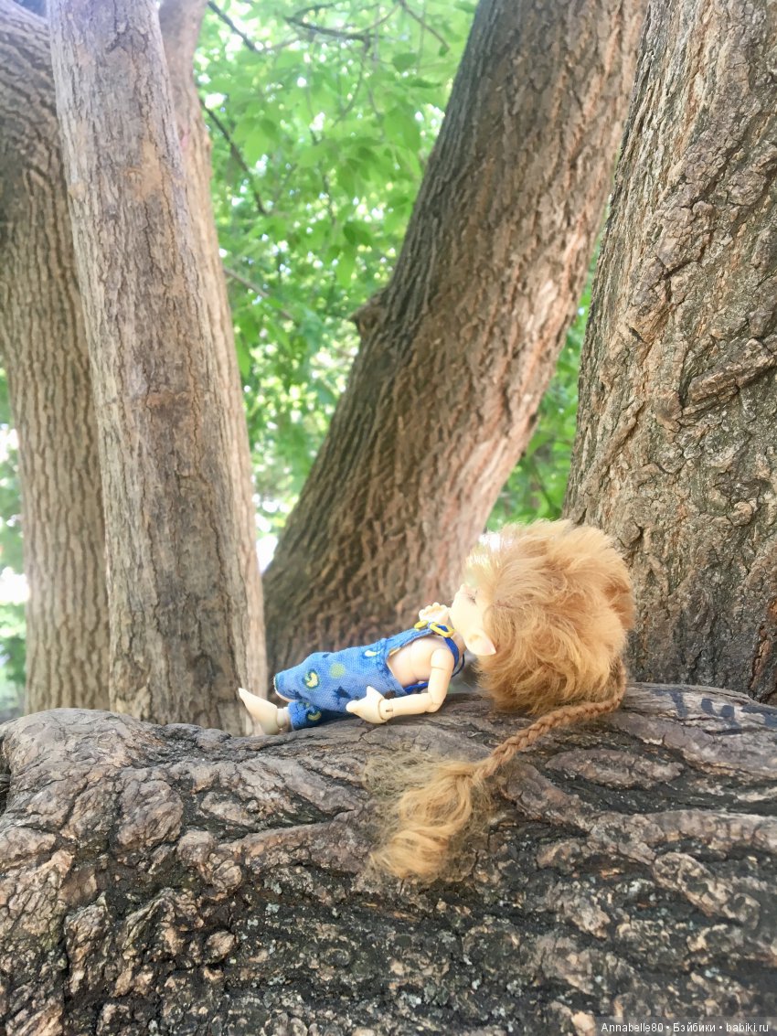 Эльфы в естественной среде обитания