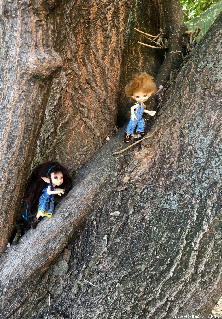 Эльфы в естественной среде обитания