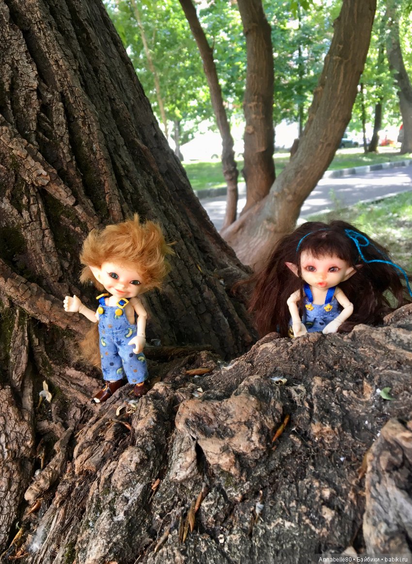 Эльфы в естественной среде обитания