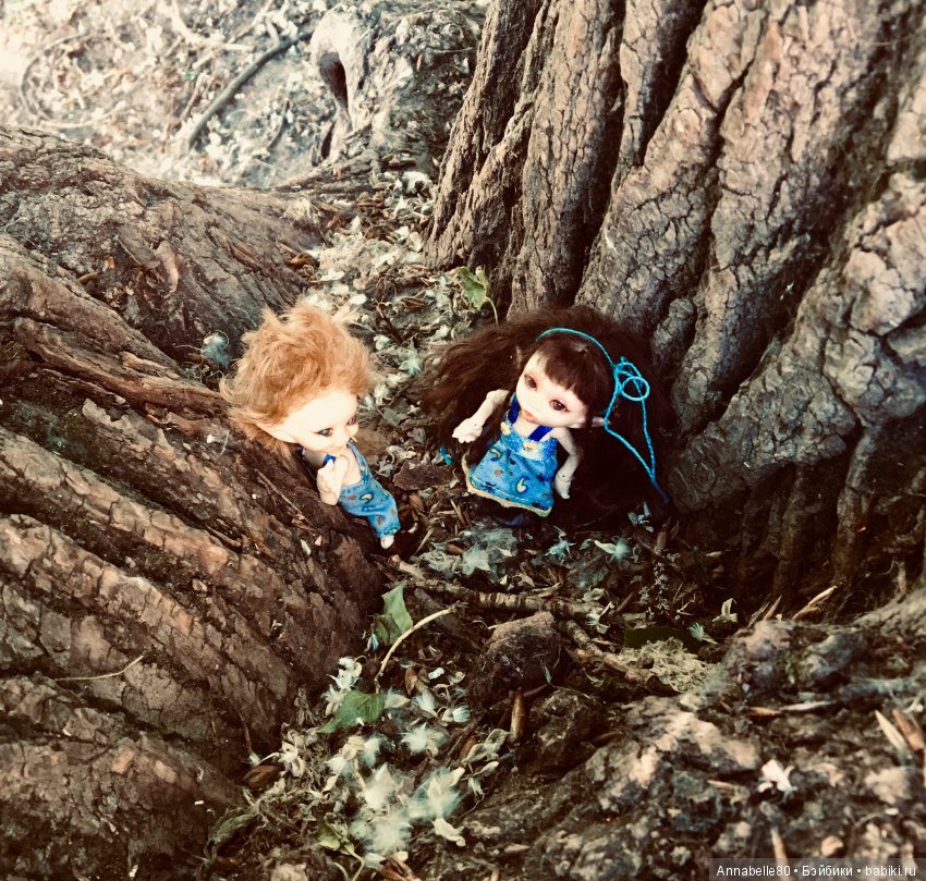 Эльфы в естественной среде обитания