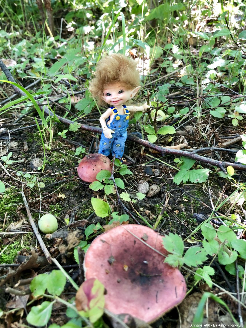 Грибной топик — Куклы Fairyland (ФэйриЛэнд): BJD (БЖД)