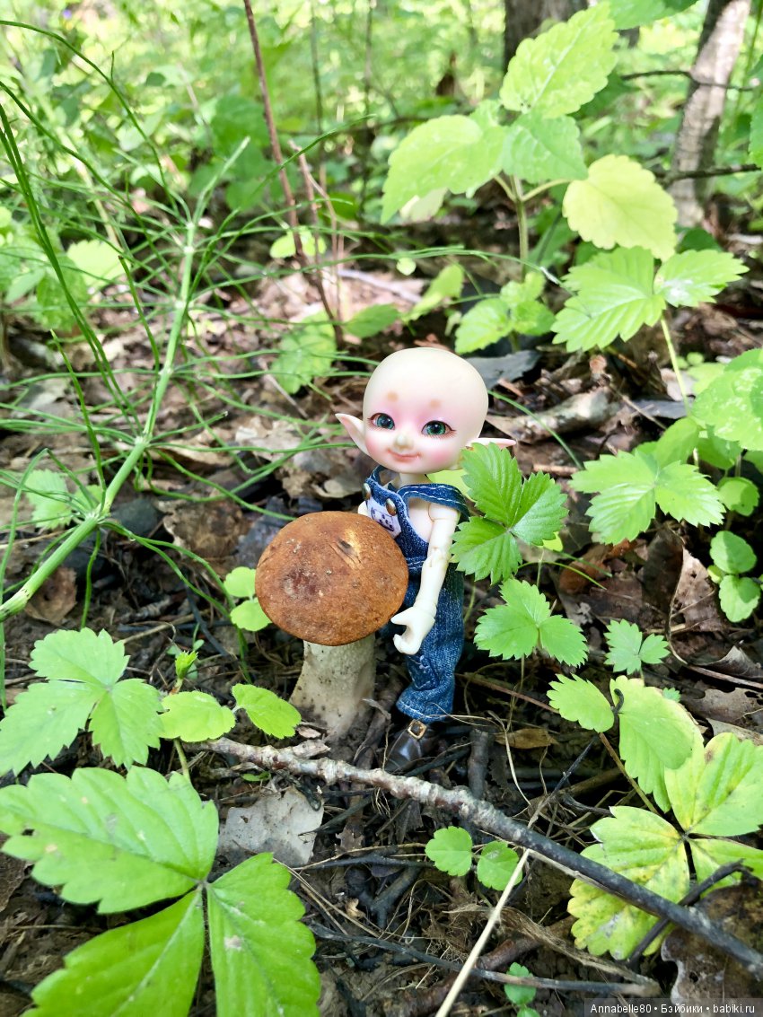 Грибной топик — Куклы Fairyland (ФэйриЛэнд): BJD (БЖД)
