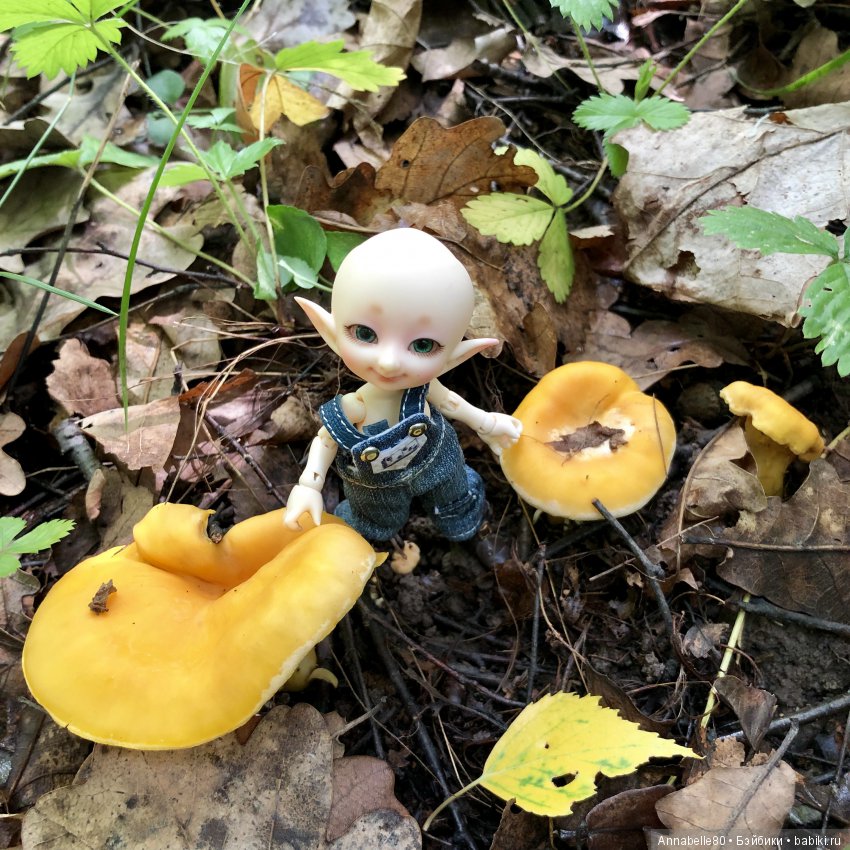 Грибной топик — Куклы Fairyland (ФэйриЛэнд): BJD (БЖД)