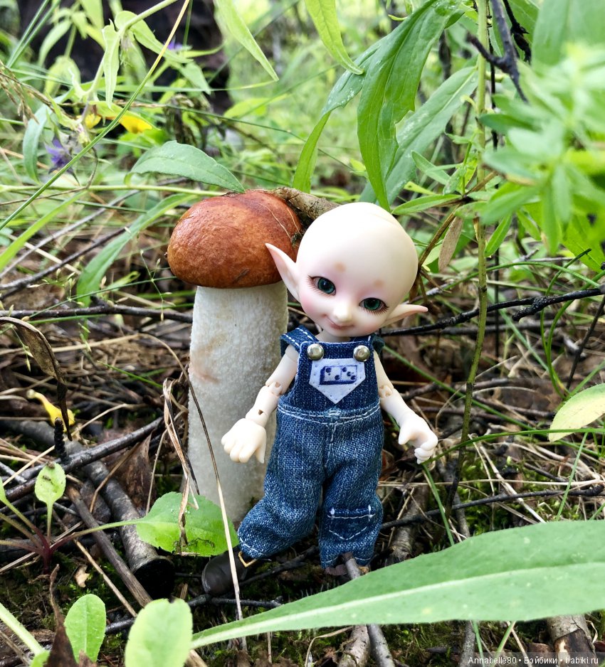 Грибной топик — Куклы Fairyland (ФэйриЛэнд): BJD (БЖД) (фото 6)