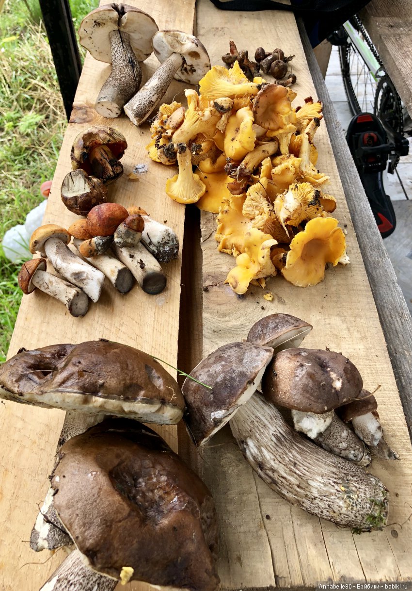 Грибной топик — Куклы Fairyland (ФэйриЛэнд): BJD (БЖД)