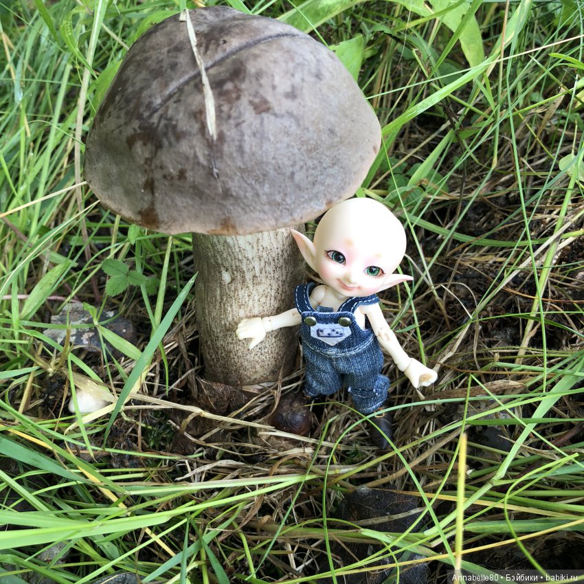 Грибной топик — Куклы Fairyland (ФэйриЛэнд): BJD (БЖД)