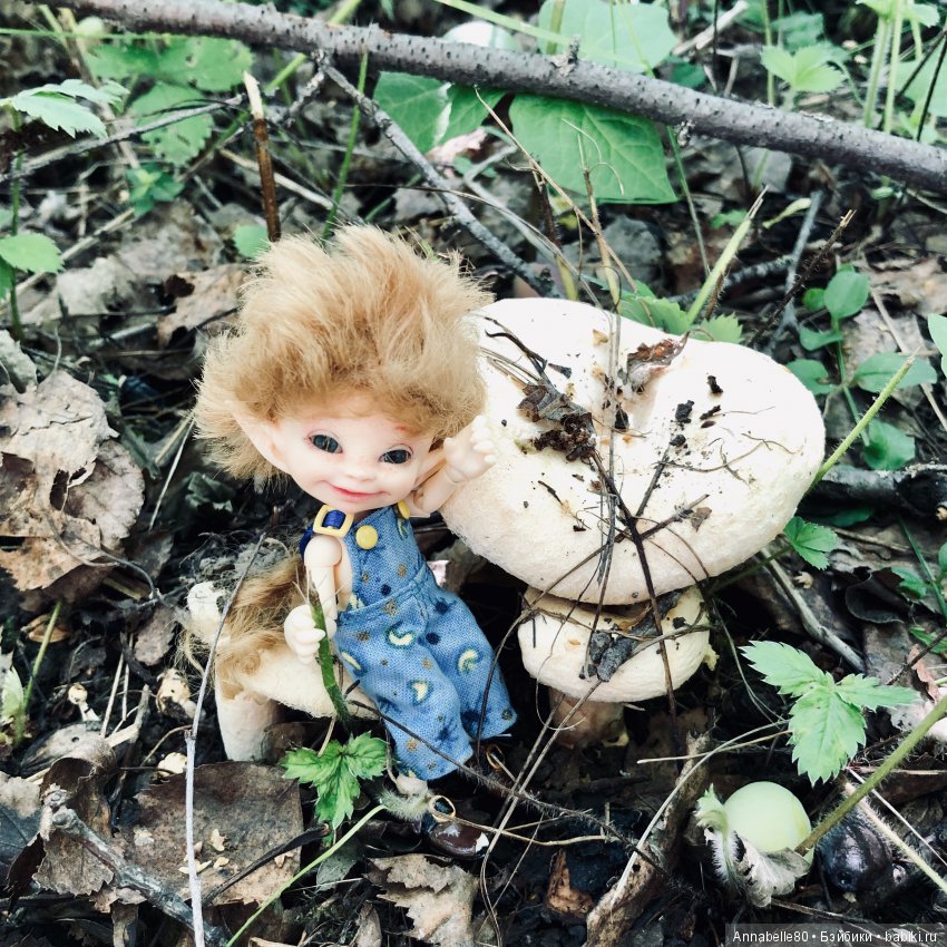 Грибной топик — Куклы Fairyland (ФэйриЛэнд): BJD (БЖД)