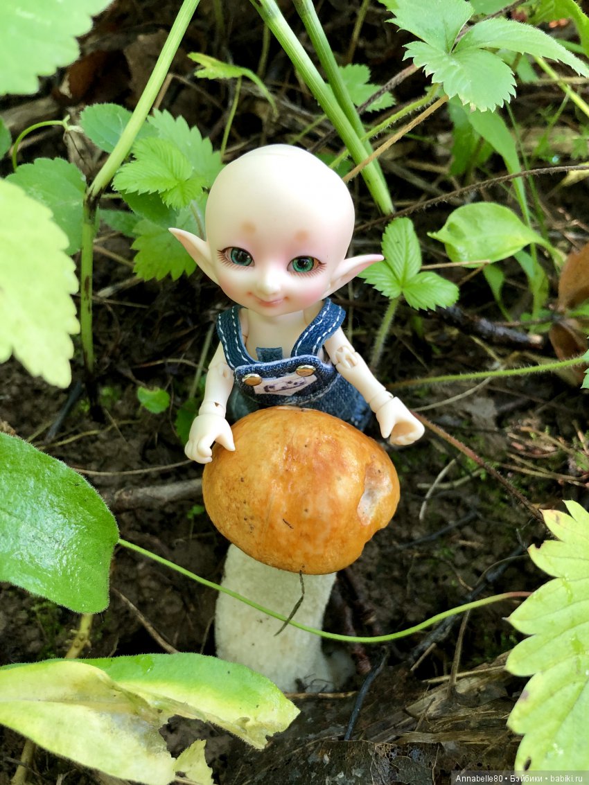 Грибной топик — Куклы Fairyland (ФэйриЛэнд): BJD (БЖД)