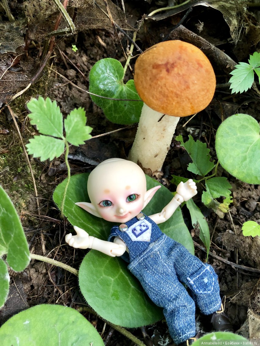 Грибной топик — Куклы Fairyland (ФэйриЛэнд): BJD (БЖД)