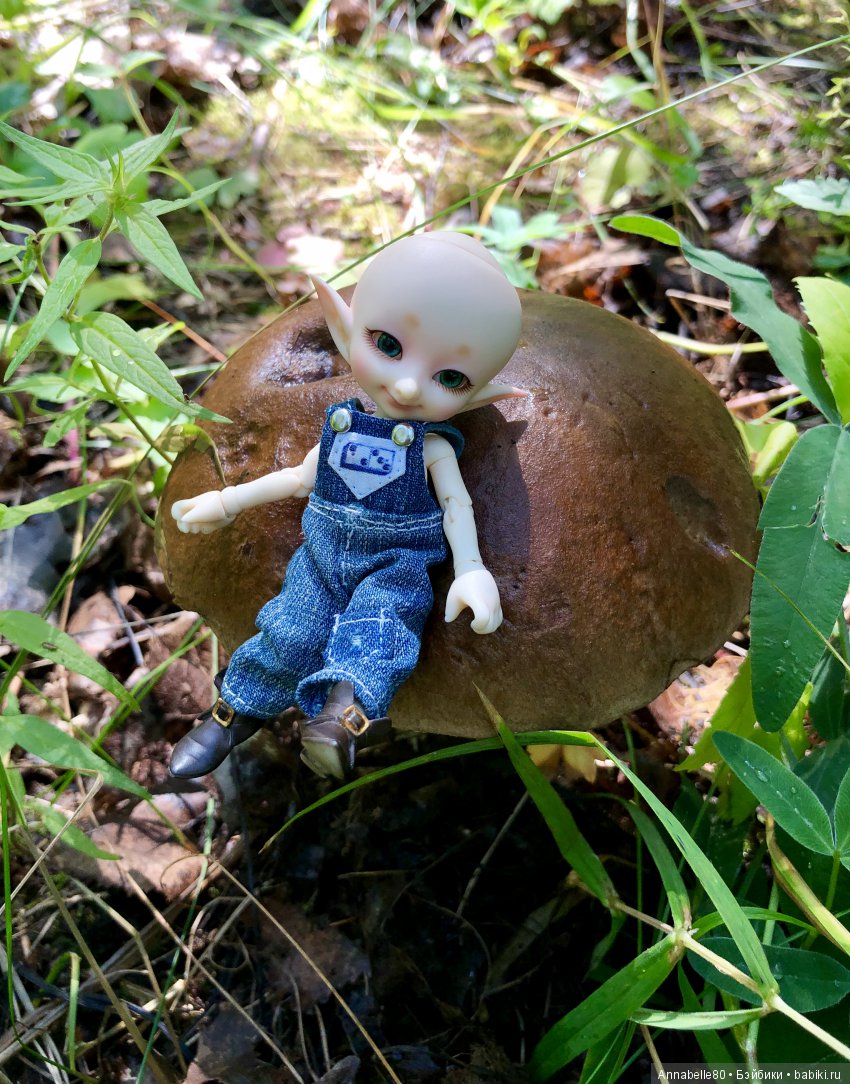 Грибной топик — Куклы Fairyland (ФэйриЛэнд): BJD (БЖД) (фото 9)