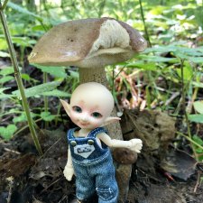 Грибной топик