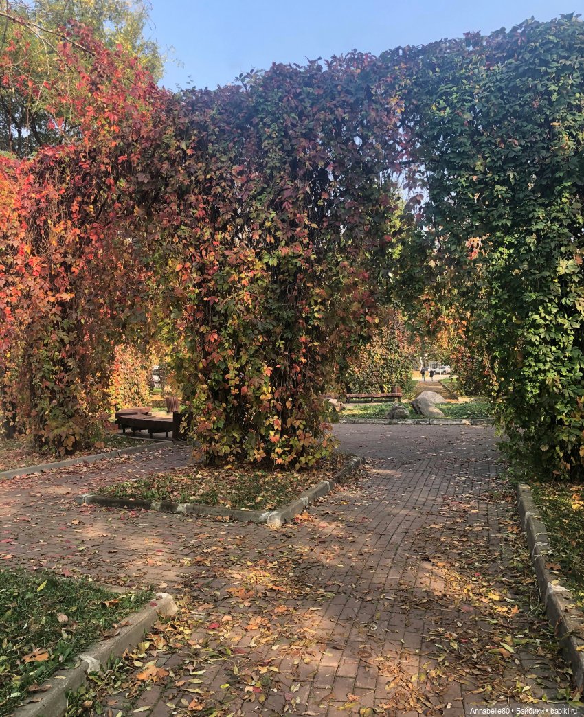 Падают, падают, падают листья