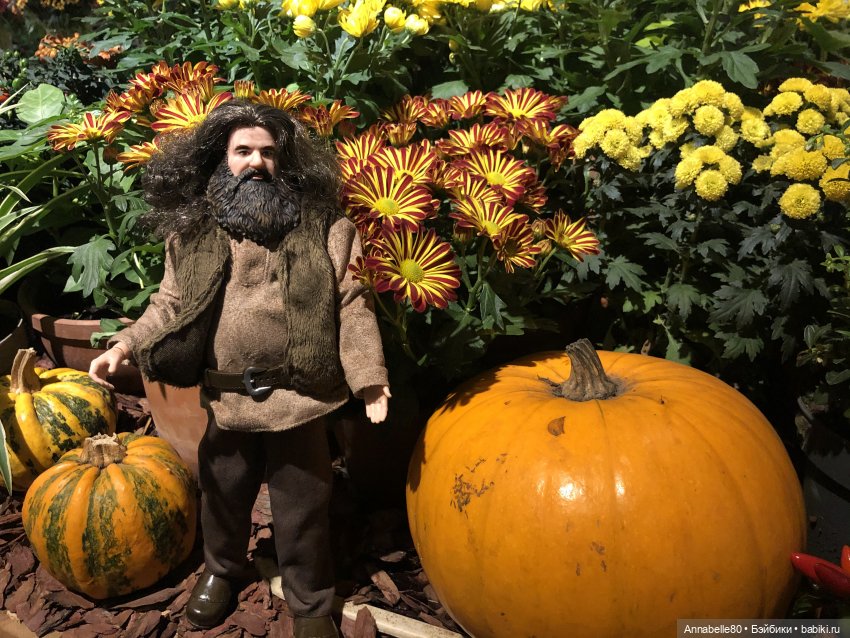 Утро добрым не бывает. Особенно после Хэллоуина