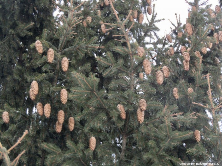 Три орешка для Золушки. Третья серия