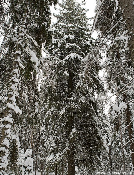 Три орешка для Золушки. Третья серия