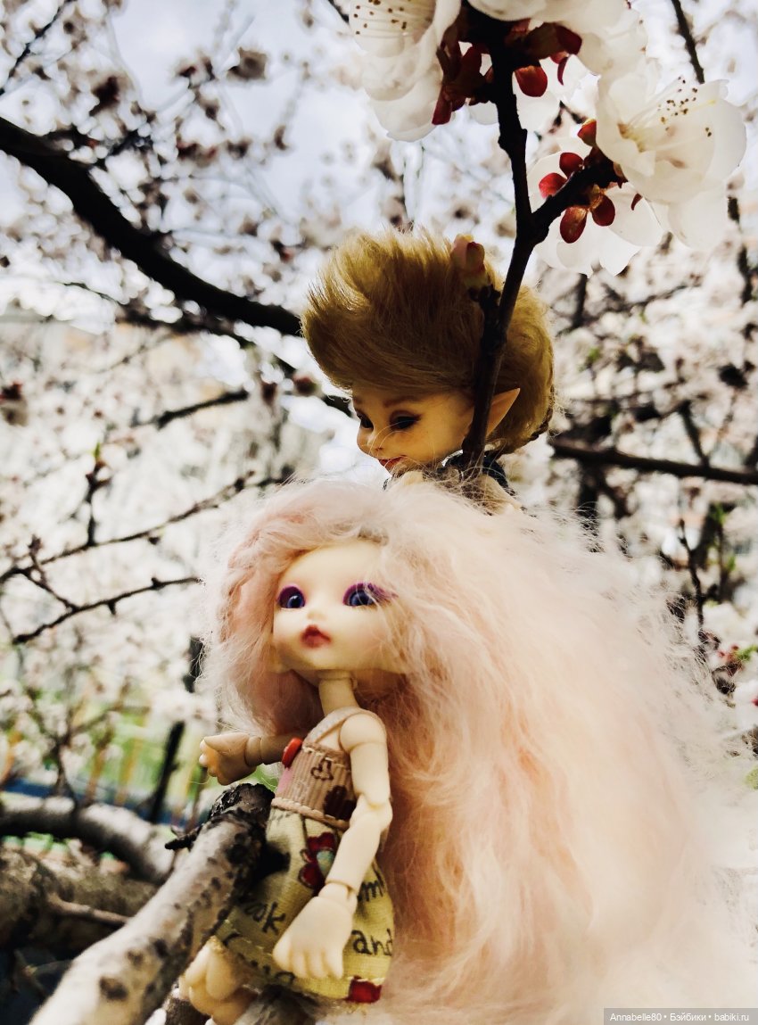 Эльфийские истории. О чем поют эльфы