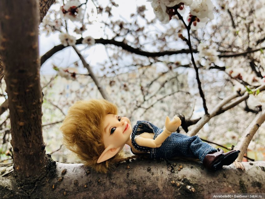 Эльфийские истории. О чем поют эльфы (фото 9)