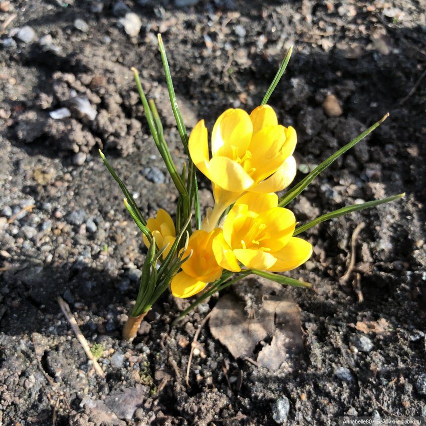 Маяк&Хранитель. Два в одном (фото 10)