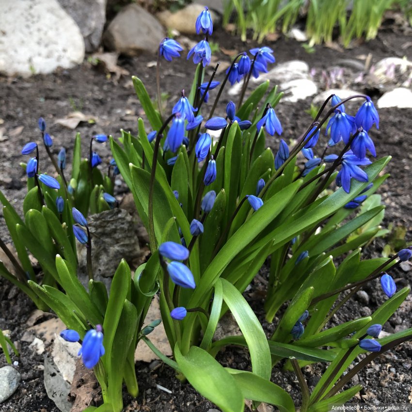 Маяк&Хранитель. Два в одном