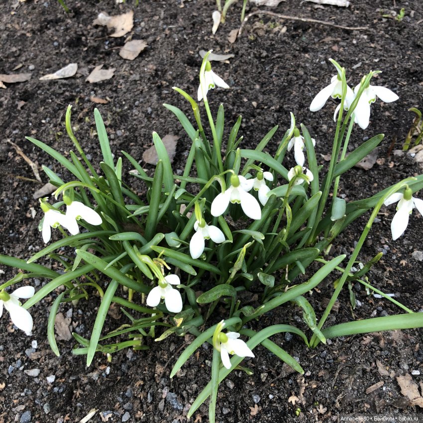 Маяк&Хранитель. Два в одном (фото 9)