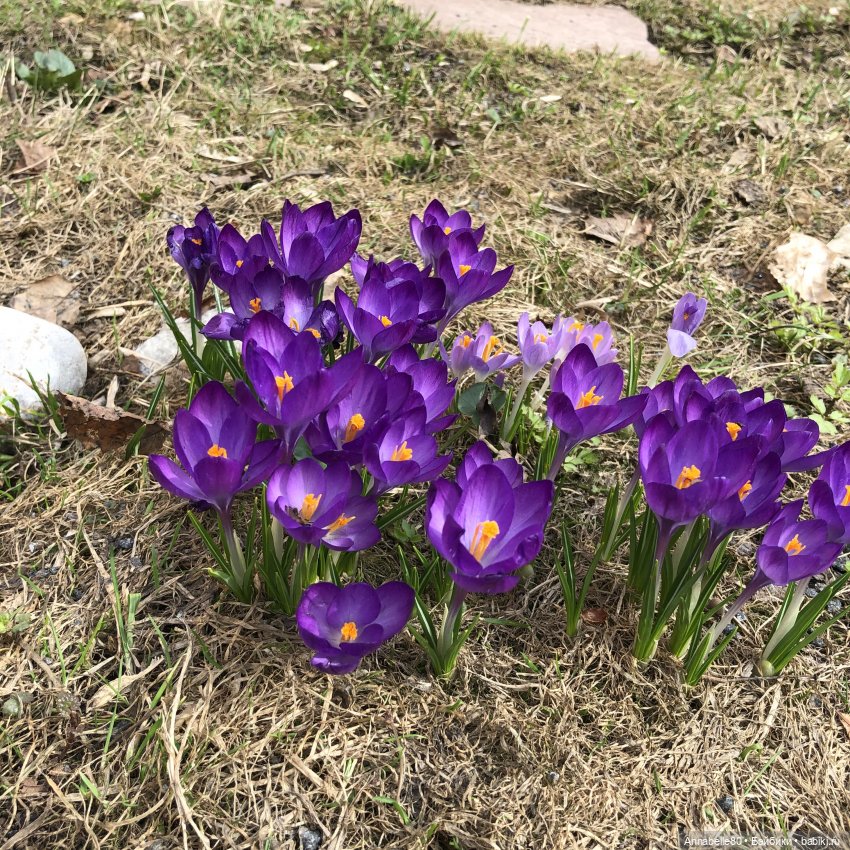 Маяк&Хранитель. Два в одном