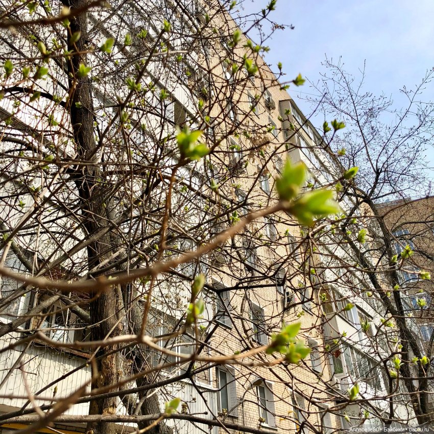 Маяк&Хранитель. Два в одном (фото 2)
