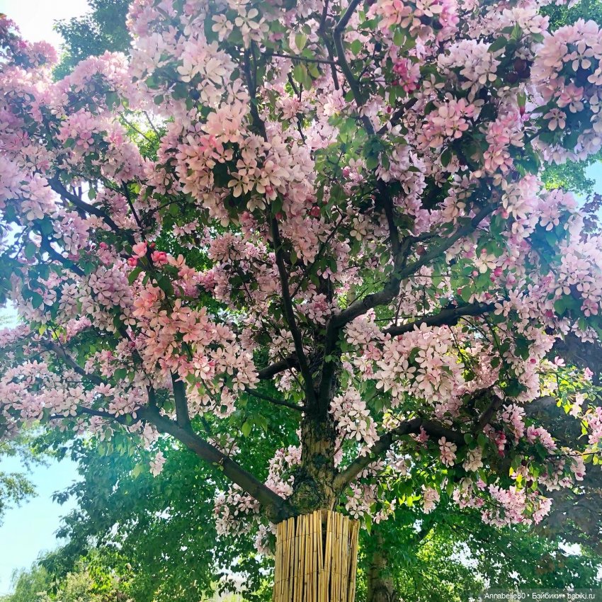 Немного японской поэзии | Бэйбики Немного японской поэзии — Куклы Barbie (Барби): Looks (фото 2)