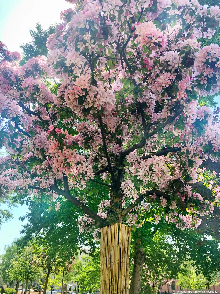 Хранитель. О любви. Ч.2 — Кукольные фотоистории и сериалы: комиксы