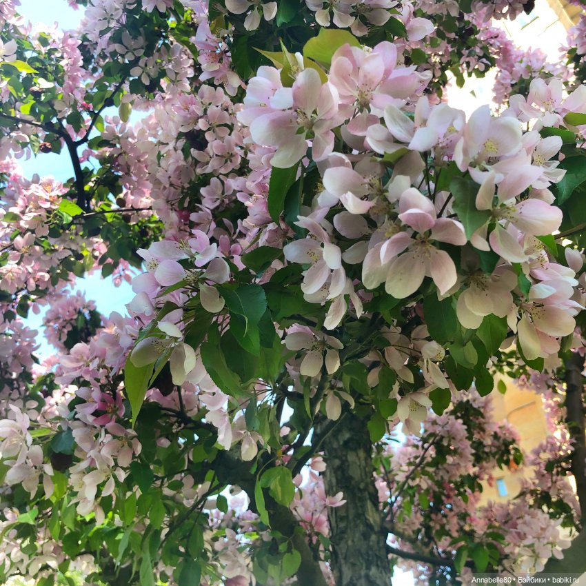 Хранитель. О любви. Ч.2 — Кукольные фотоистории и сериалы: комиксы