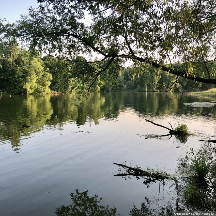 Как в ночь да на Купалу. Лех | Бэйбики Как в ночь да на Купалу. Лех (фото 3)