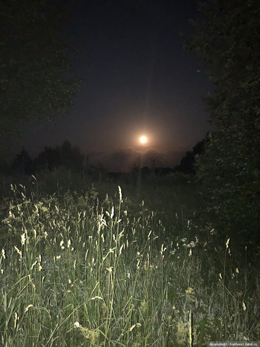 Как в ночь да на Купалу. Лех | Бэйбики Как в ночь да на Купалу. Лех