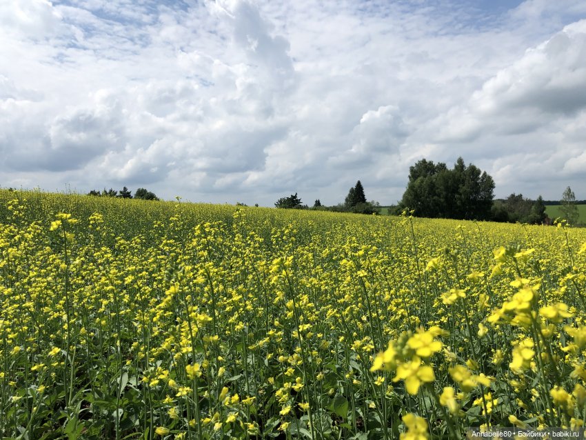Как в ночь да на Купалу. Чех | Бэйбики Как в ночь да на Купалу. Чех