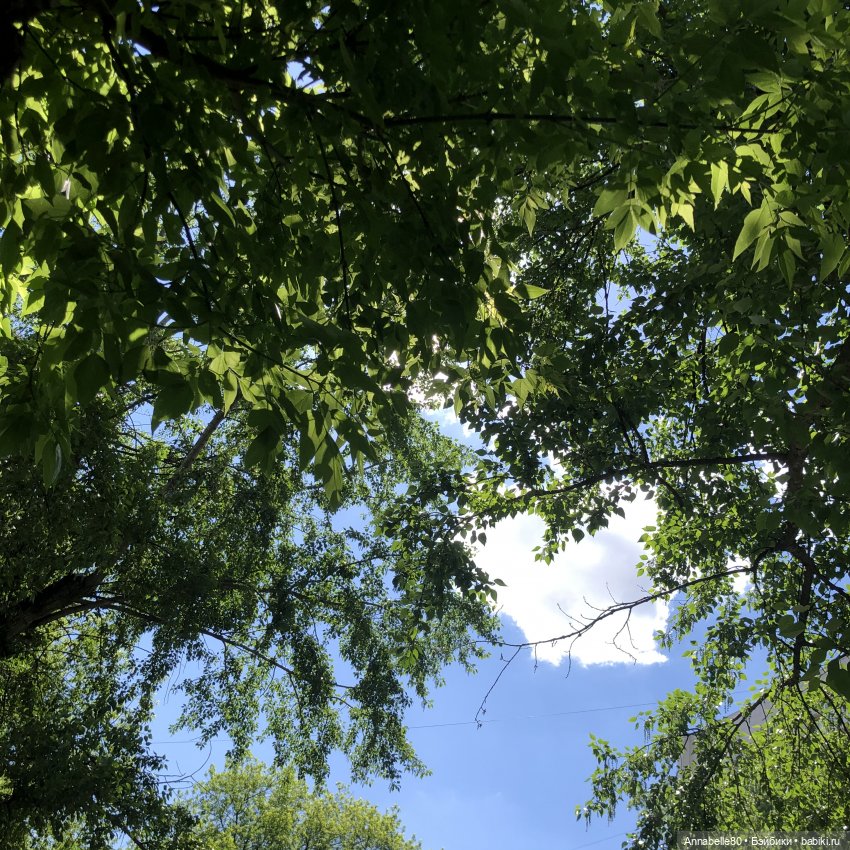 Маяк. О любви. Ч. 3 | Бэйбики Маяк. О любви. Ч. 3 — Кукольные фотоистории и сериалы: комиксы